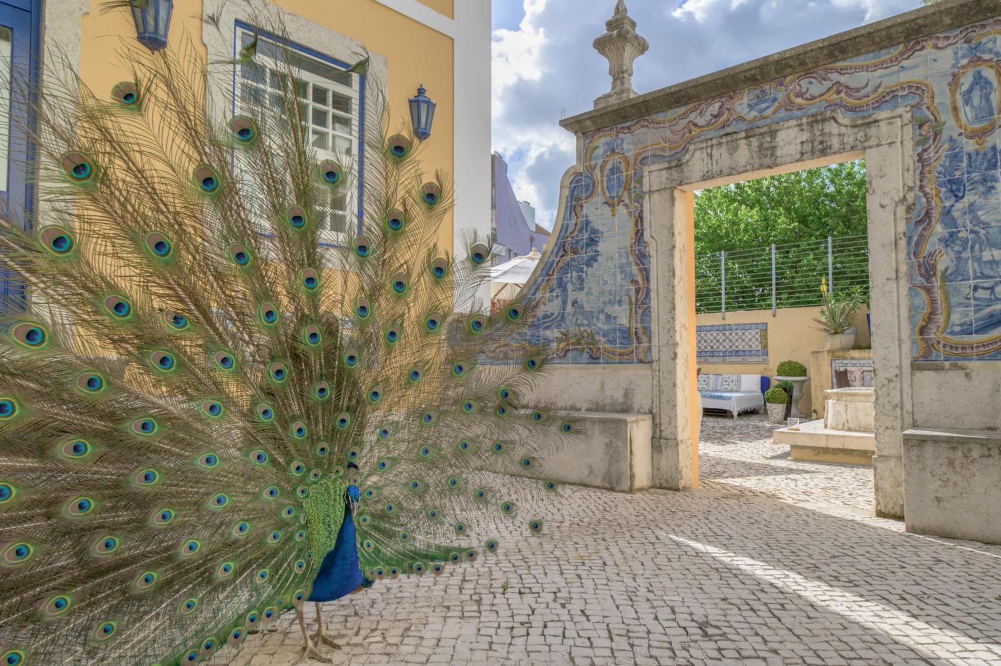 Solar Do Castelo - Lisbon Heritage Collection - Alfama Eksteriør bilde